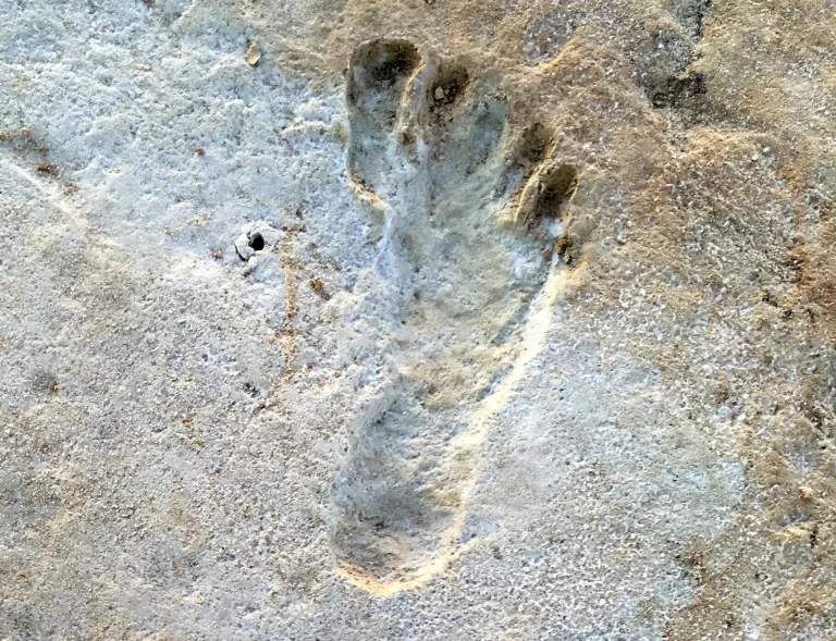 23footprints02-superJumbo.jpg