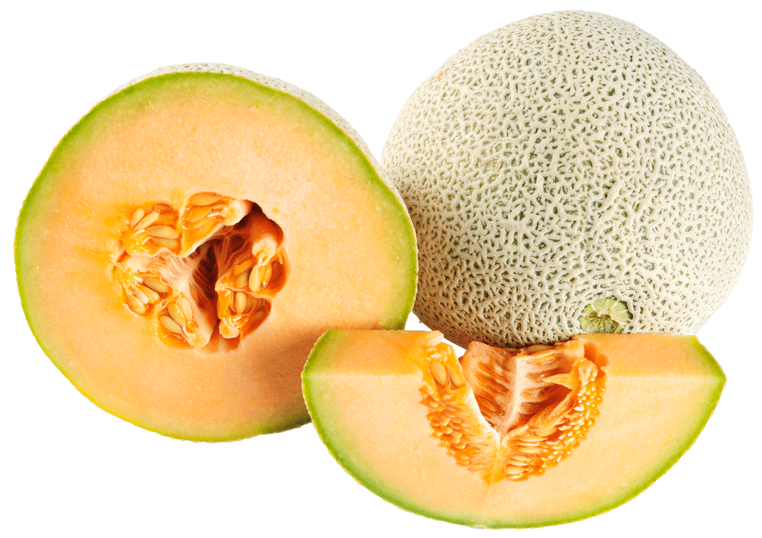 Ripe Cantaloupe Melon - 1072x758