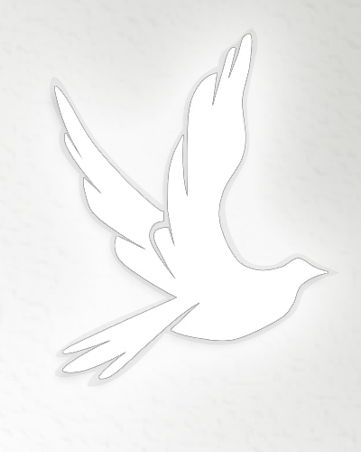 stockdove-v2 (1)