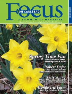 Focus2009 Spring Carlsbad Cover
