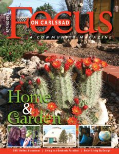 Focus2013 Spring Carlsbad Cover