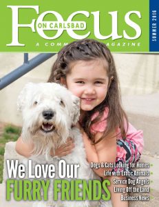 Focus2016 Summer Carlsbad Cover