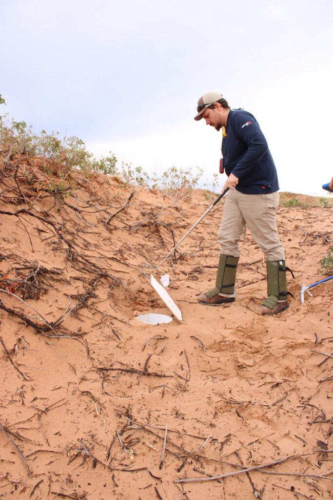 Matt Creswell checking a pitfall trap for the Dunes Sagebrush Lizard
