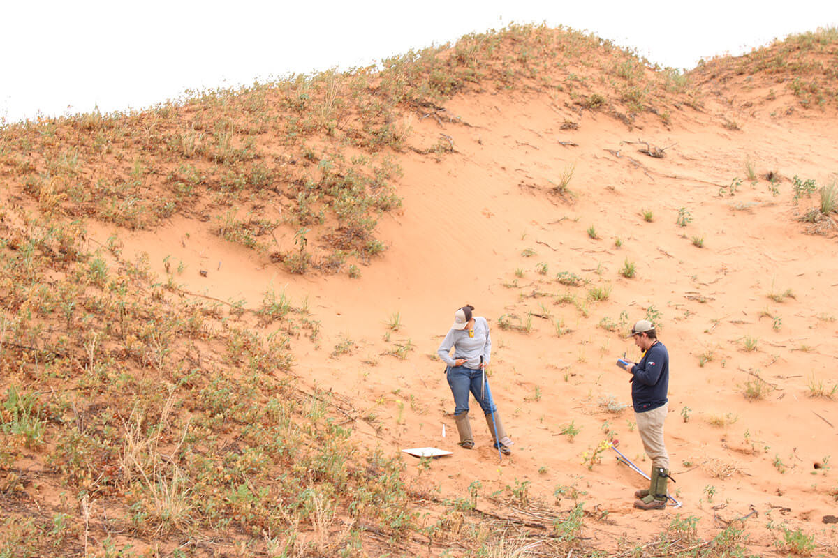 Matt Creswell and Erica Gutierrez recording findings and weather conditions at a pitfall trap